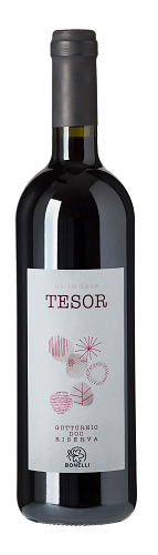 "Tesor" Gutturnio Riserva